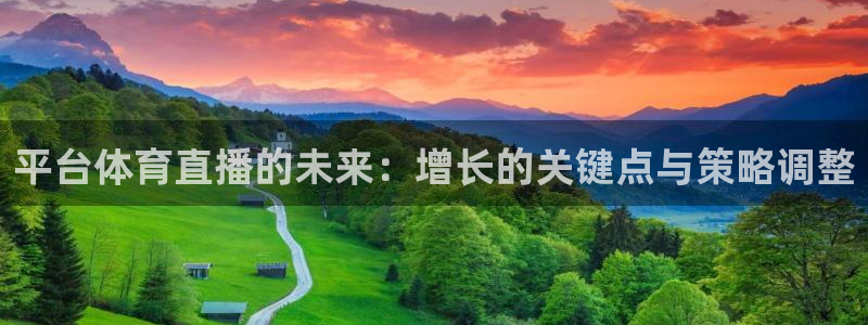乐球直播足球高清全部视频：平台体育直播的未来：增长的关键点与策略调整